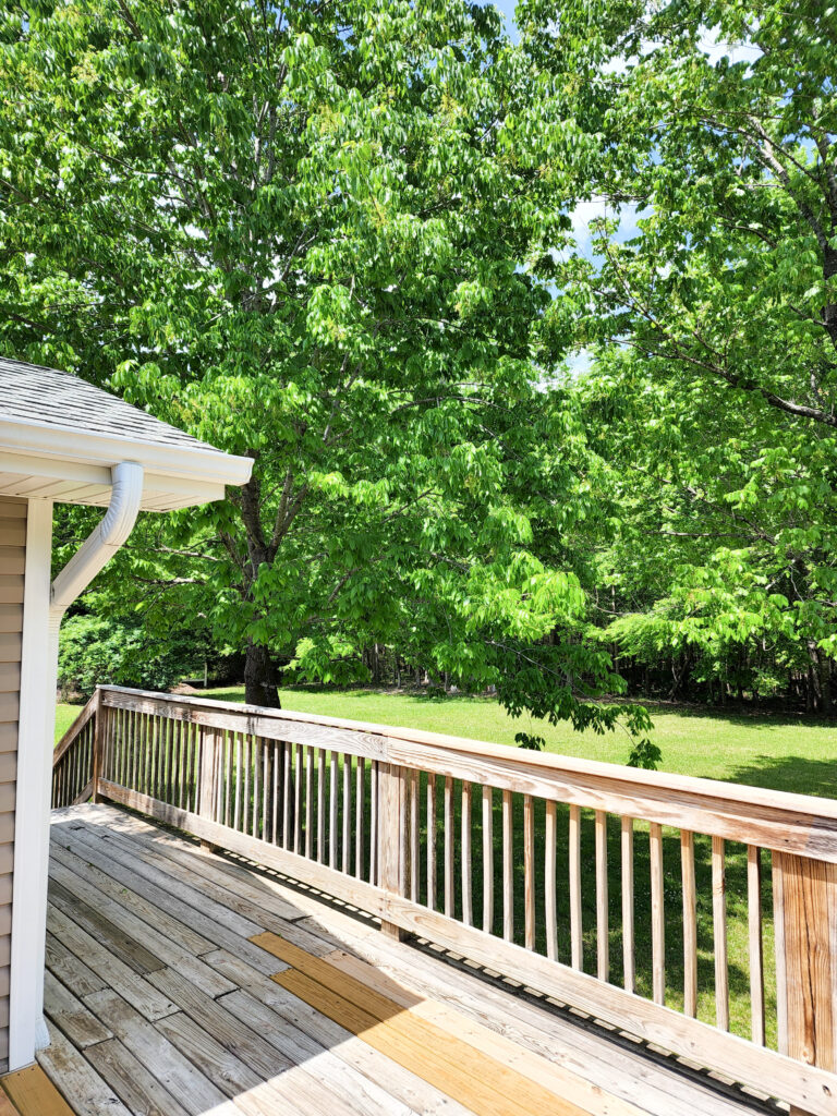 Journey to Our Forever Home - Deck